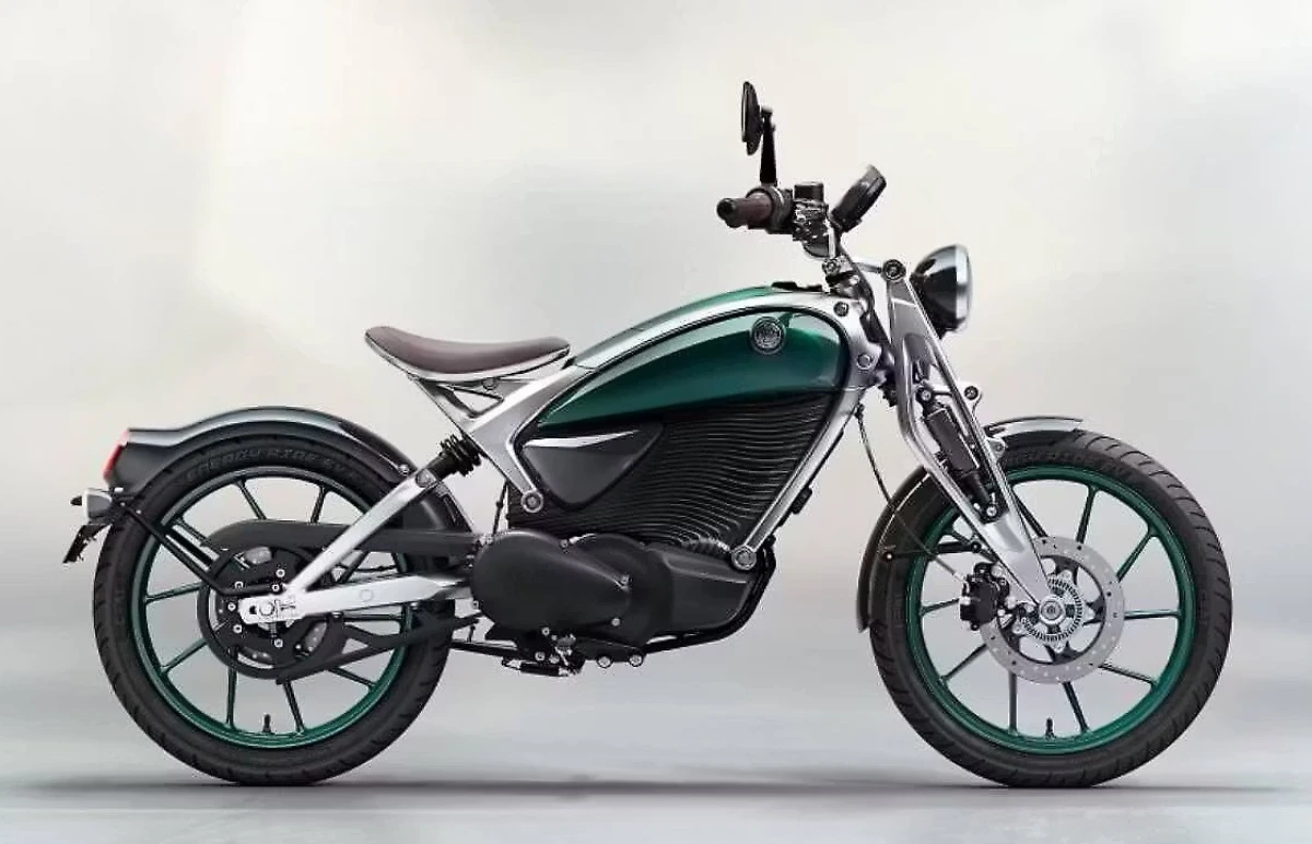 Flying Flea C6 Price in India